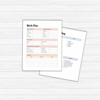Pregnancy Planner PLR