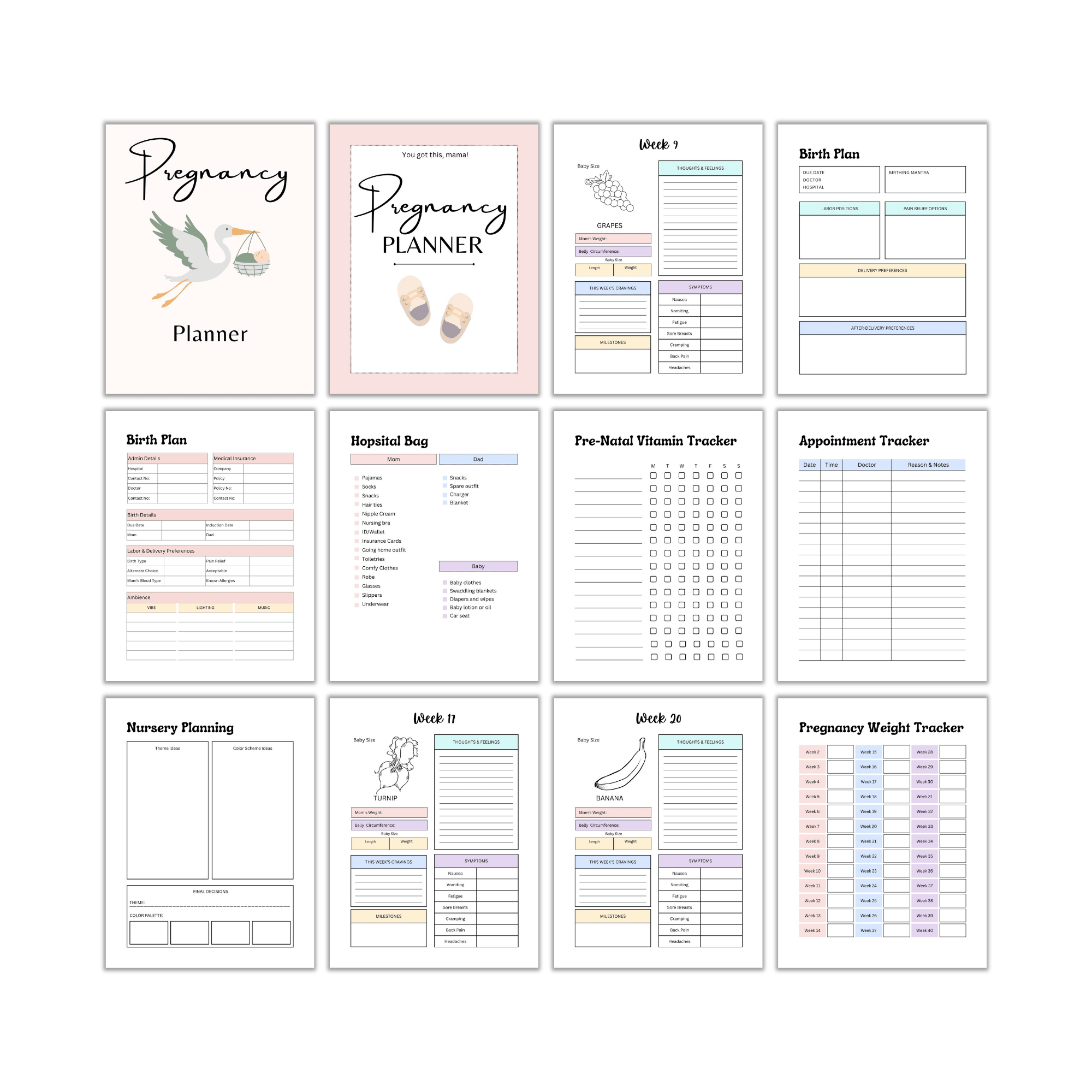 Pregnancy Planner PLR