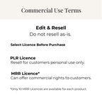 Productivity Planner Templates PLR