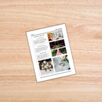 Wedding Newsletter PLR Template