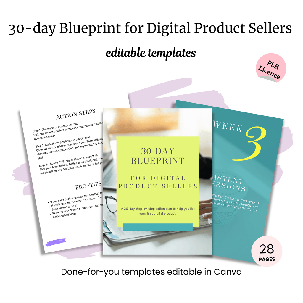 30-Day Blueprint: Create & Launch (PLR Canva Template)