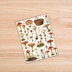 Mushroom Fussy Cuts
