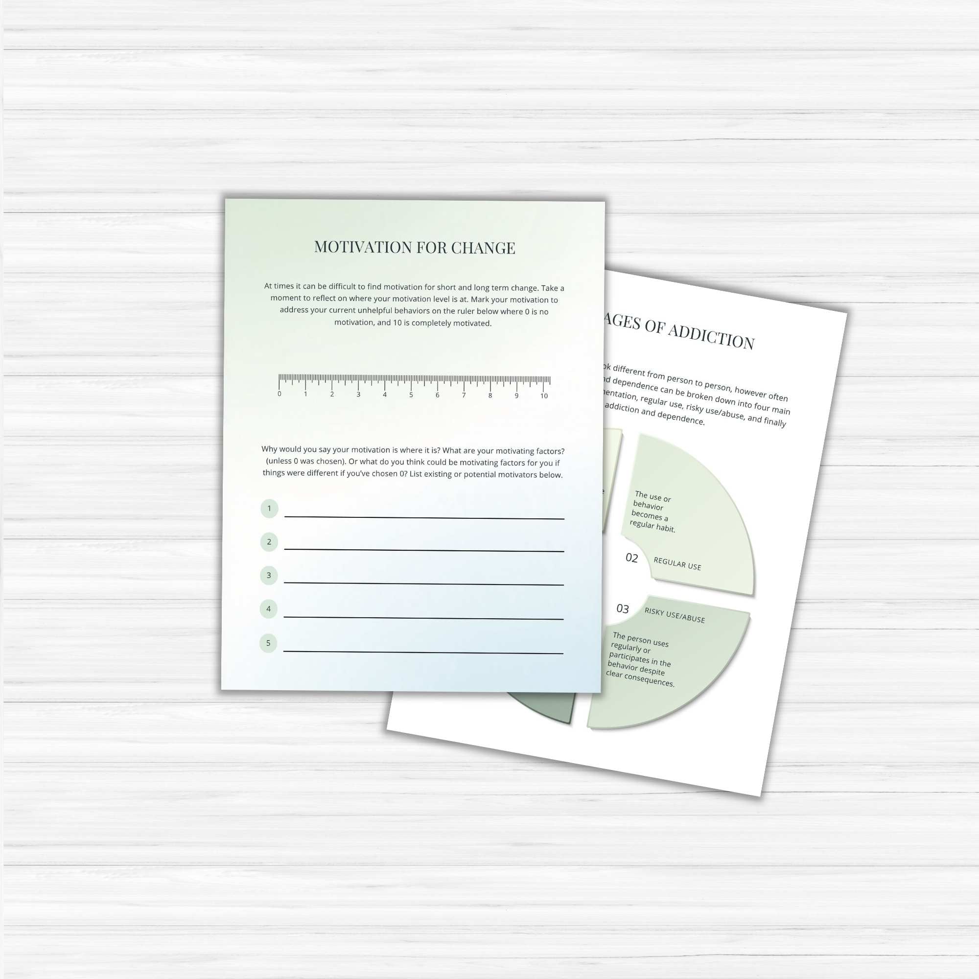 Sobriety Journal PLR Template