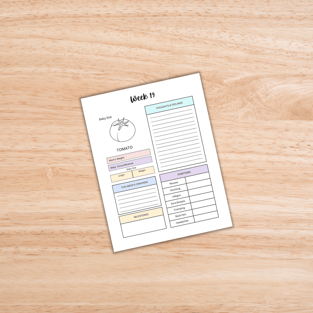 Pregnancy Planner PLR