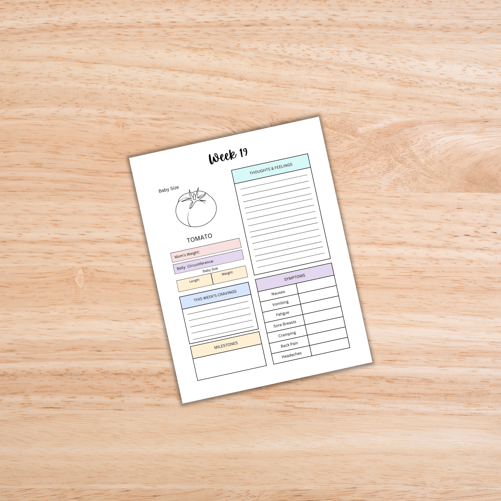 Pregnancy Planner PLR