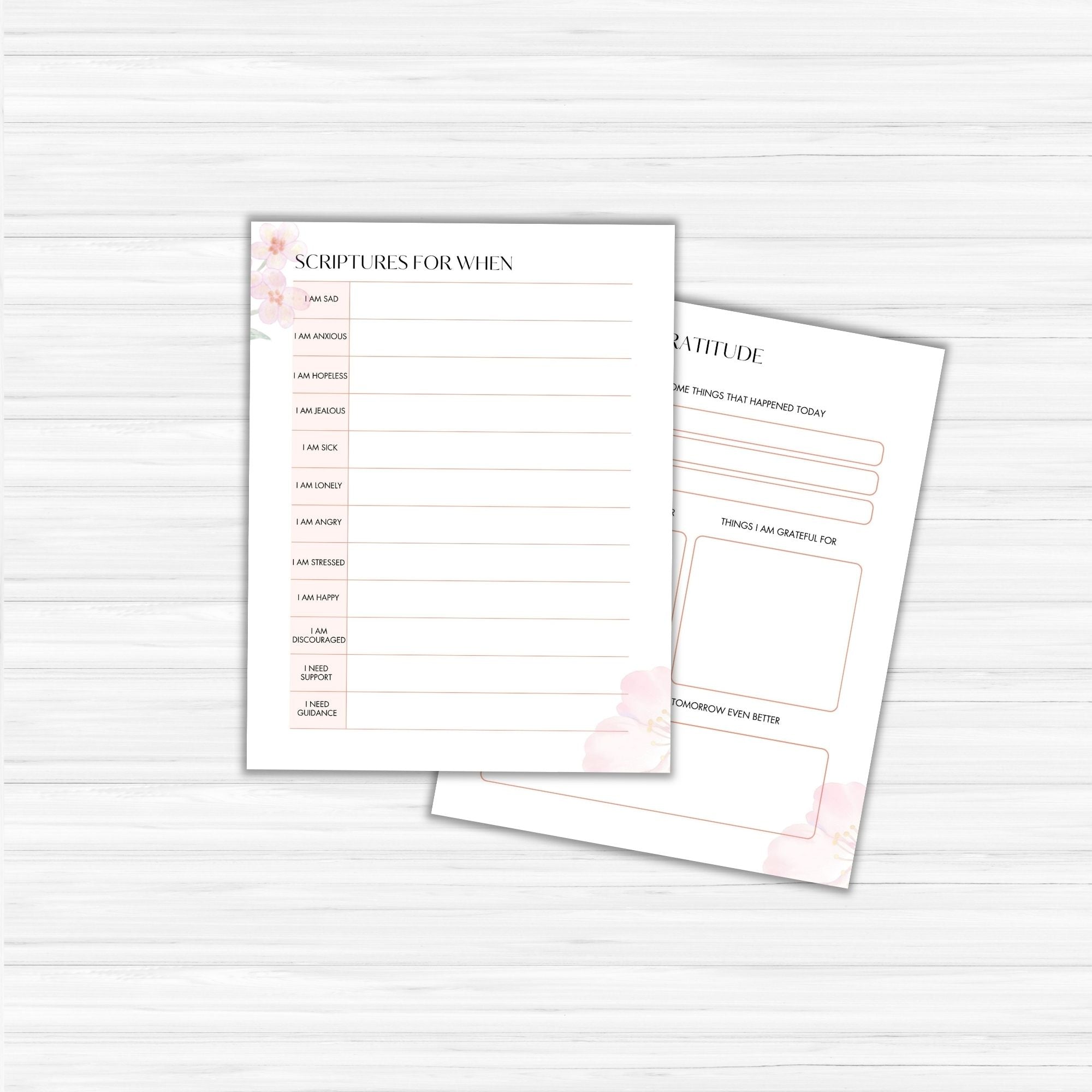 Prayer Journal PLR Template