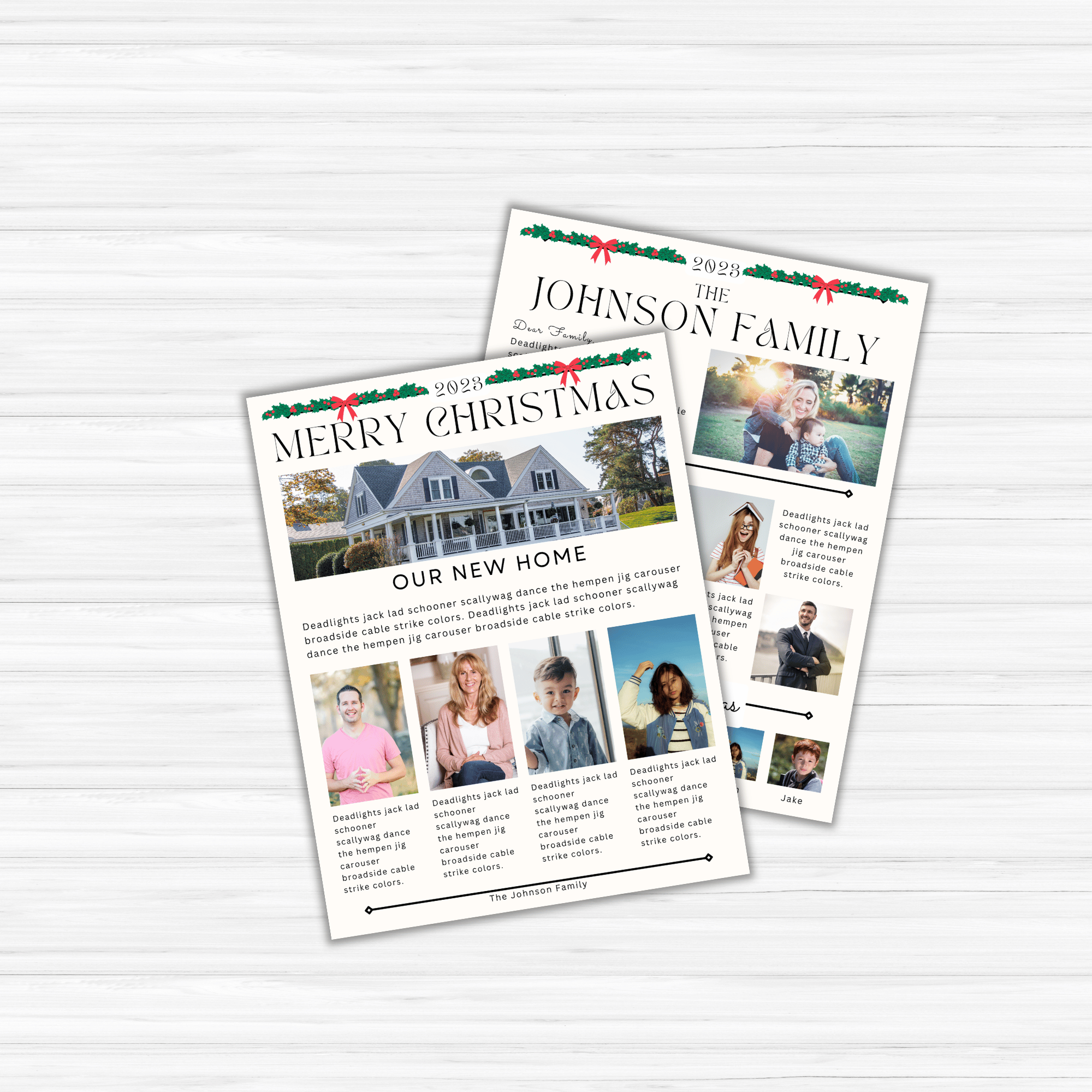 Christmas Newsletter Templates PLR