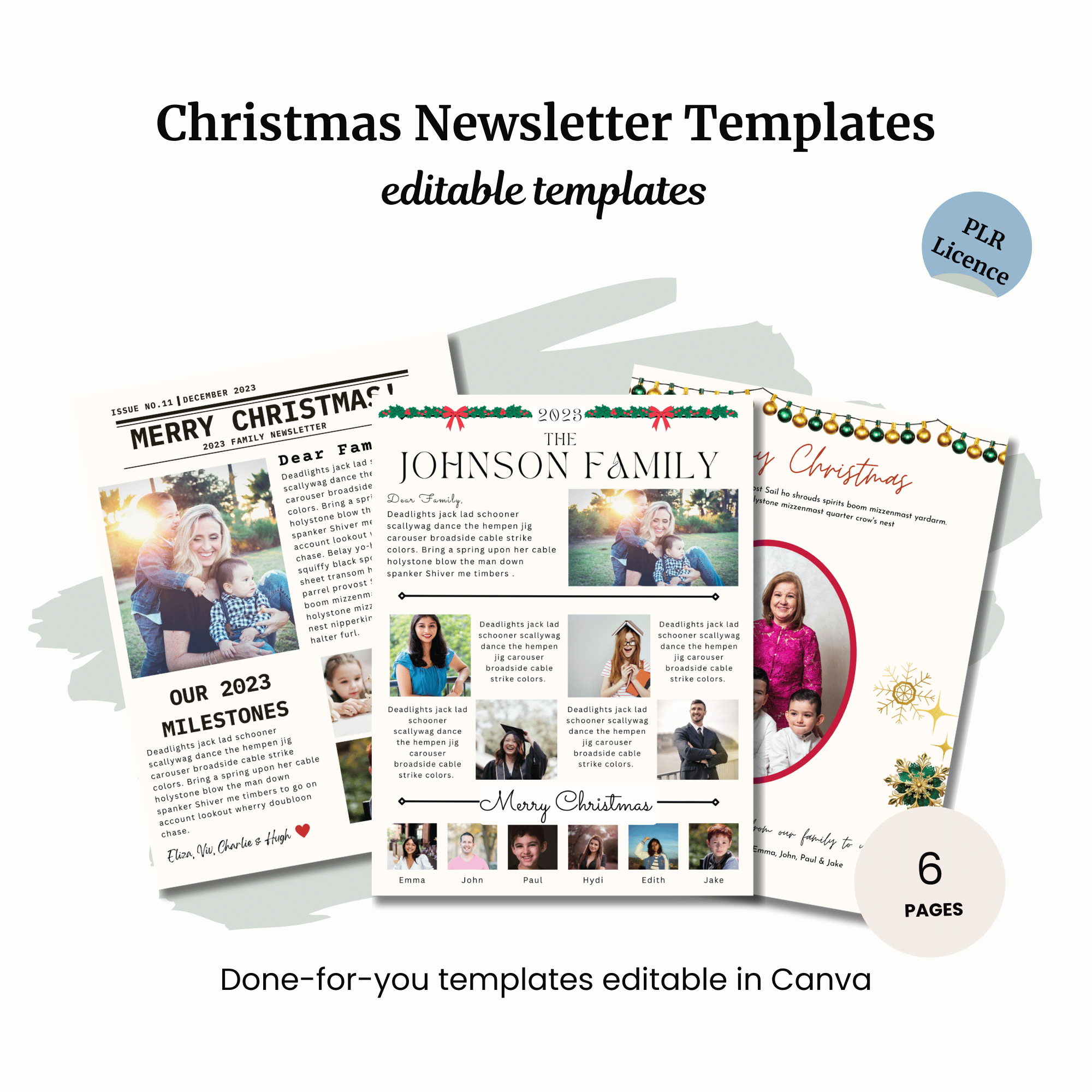 Christmas Newsletter Templates PLR