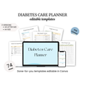 Diabetes Care Planner PLR