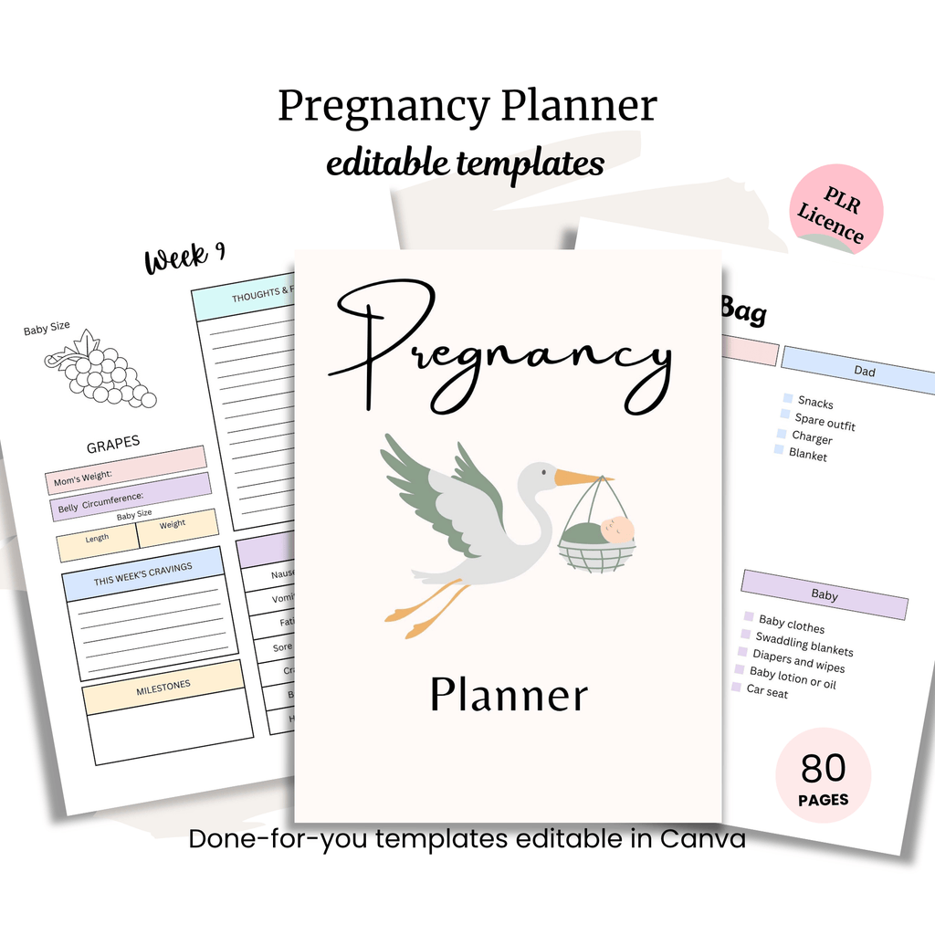 Pregnancy Planner PLR