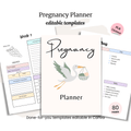 Pregnancy Planner PLR