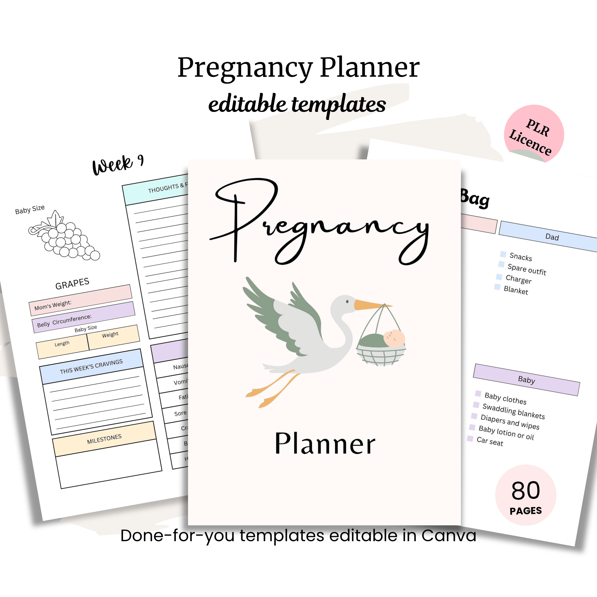 Pregnancy Planner PLR