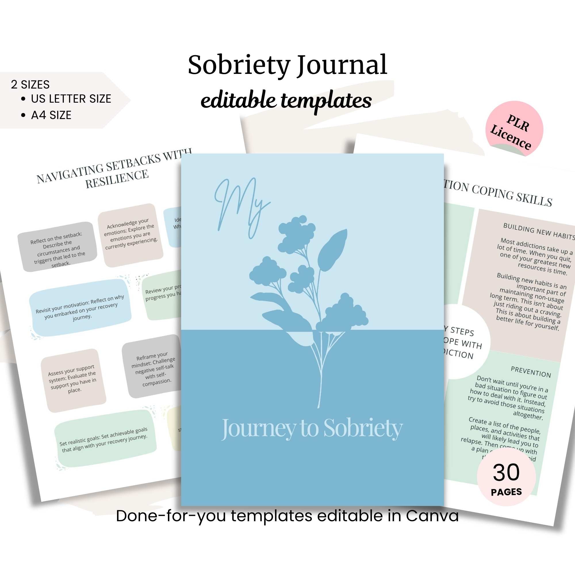 Sobriety Journal PLR Template